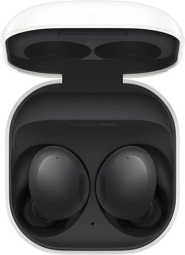 SAMSUNG Galaxy Buds 2 Earbuds