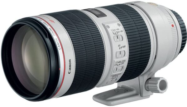 Canon EF 70-200mm f/4L IS II USM Telephoto Zoom Lens for Canon SLR Cameras - Image 3