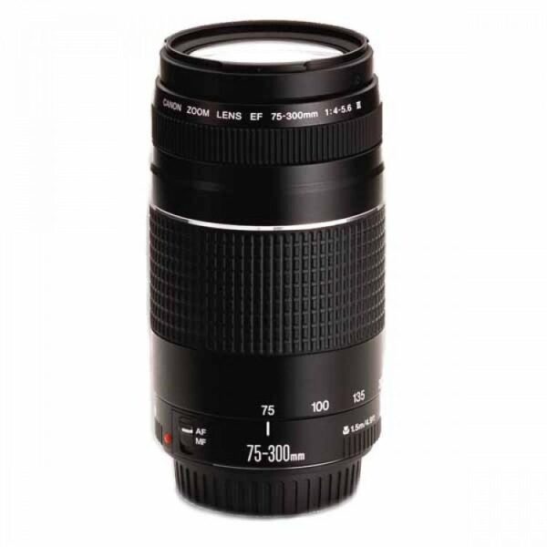 Canon EF 75-300mm f/4-5.6 III Telephoto Zoom Lens for Canon SLR Cameras - Image 3