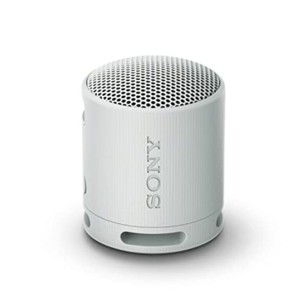 Sony SRS-XB100 Wireless Speaker