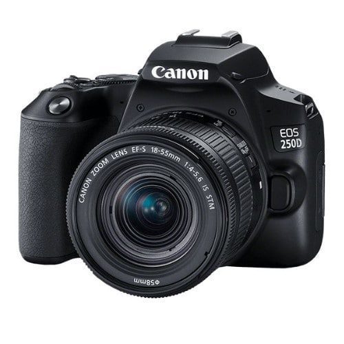 CANON 250D with 18-55mm lens24.1 megapixel High-resolution