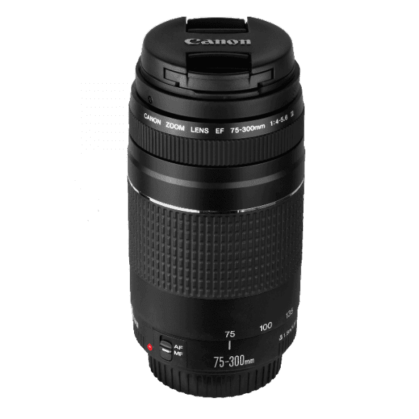 Canon EF 75-300mm f/4-5.6 III Telephoto Zoom Lens for Canon SLR Cameras